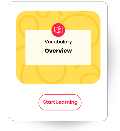 Vocabulary Overview